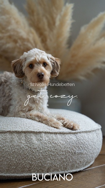 dog bed, pet bed, dog cushion, pet cushion, dog pillow, pet furniture, dog mattress, brand awareness, lifestyle, calm, warm, neutral, brown